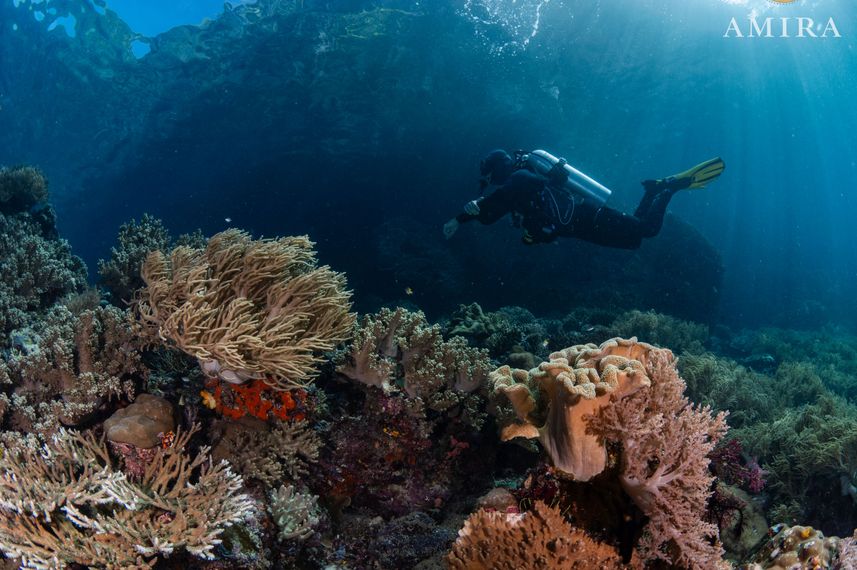 Underwater