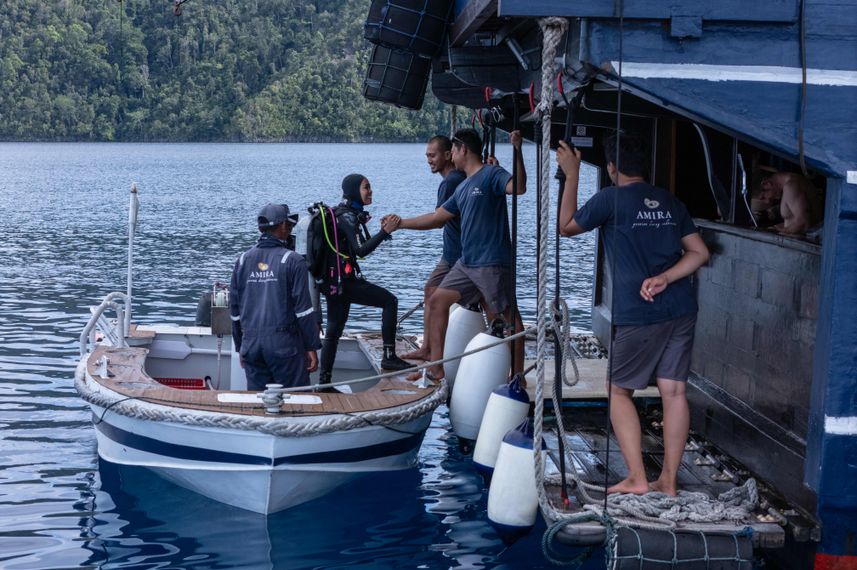 Dinghy's voor duiken - Amira