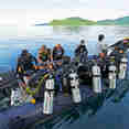 Dive Tender - Amira Indonesia