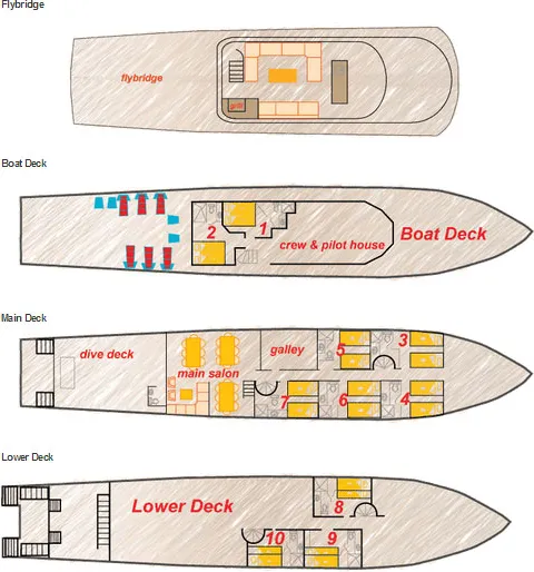 disposizione del ponte