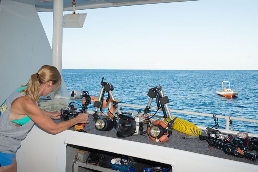 Camera Station - Turks and Caicos Explorer