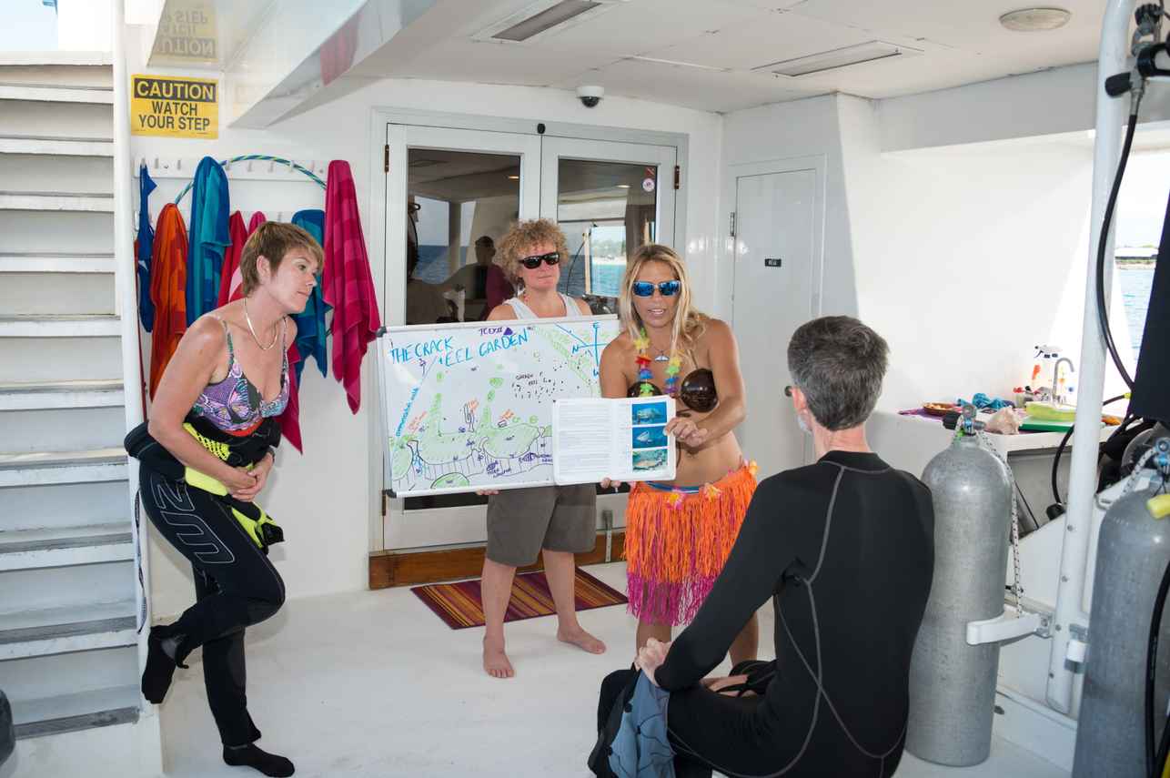 Dive Briefing