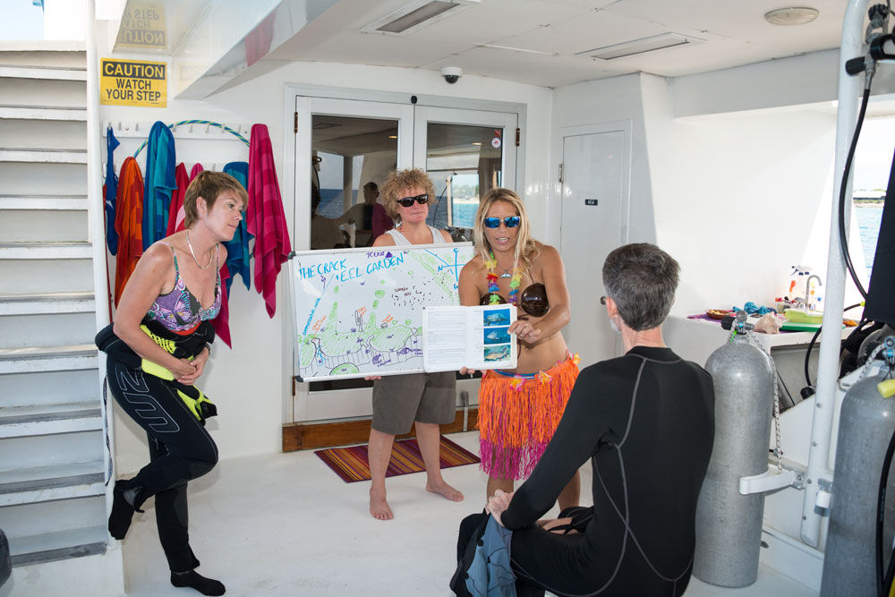 Briefing d'Immersione - Turks and Caicos Explorer