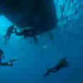 Marine Life - Turks and Caicos Explorer II