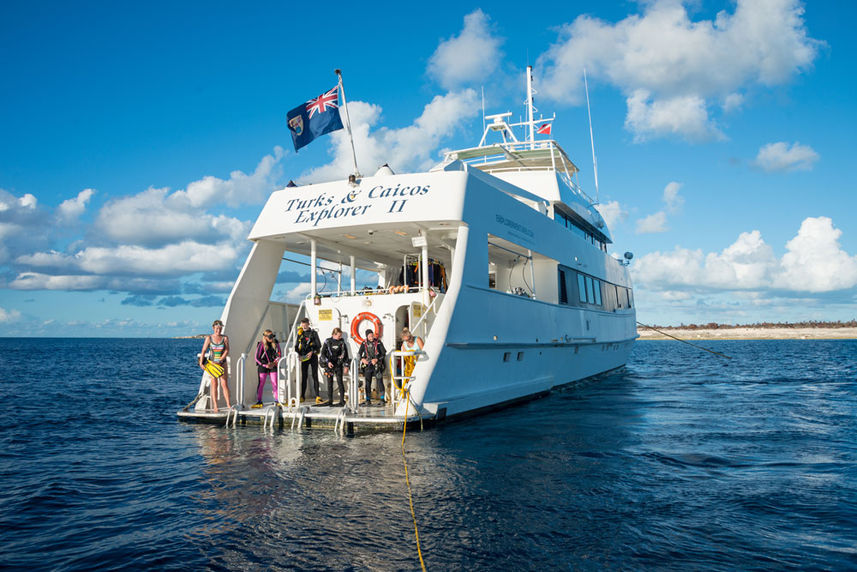 Dive Platform - Turks and Caicos Explorer