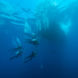 Amazing underwater visibility in the Caribbean onboard Caribbean Explorer II 