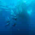 Amazing underwater visibility in the Caribbean onboard Caribbean Explorer II 