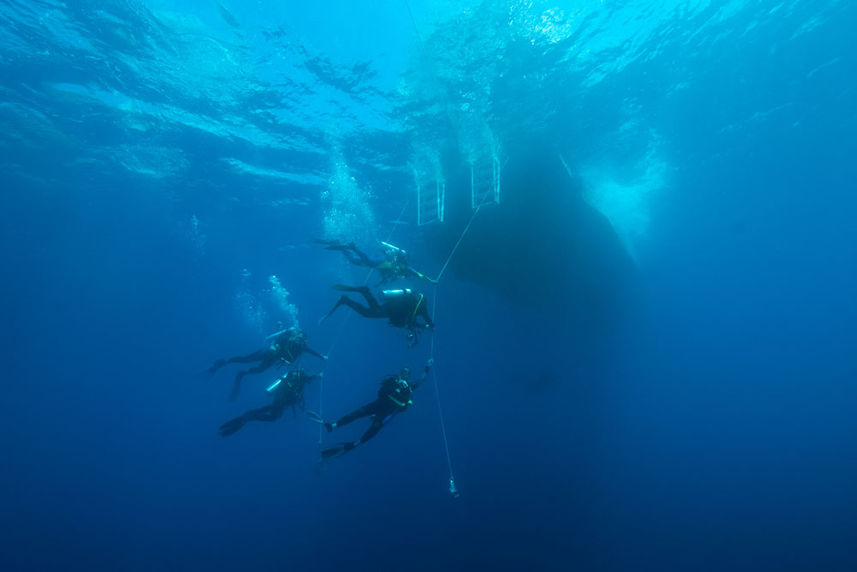 Amazing underwater visibility in the Caribbean onboard Caribbean Explorer II 