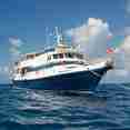 Caribbean Explorer II