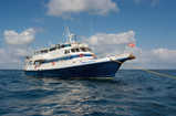Caribbean Explorer II