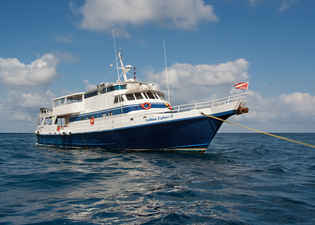Caribbean Explorer II