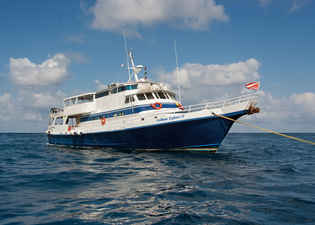 Caribbean Explorer II