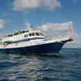 Caribbean Explorer II