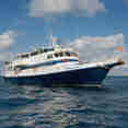 Caribbean Explorer II