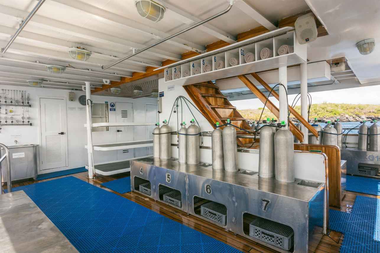 Dive deck - Galapagos Sky