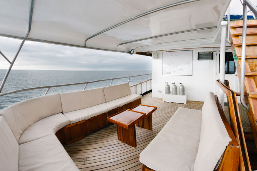 Bar and Lounge Area - Galapagos Sky