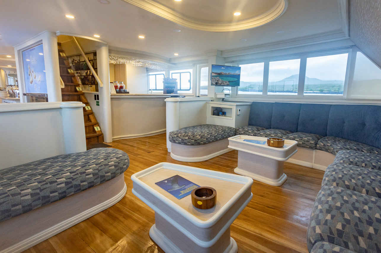 Indoor-Salon - Galapagos Sky