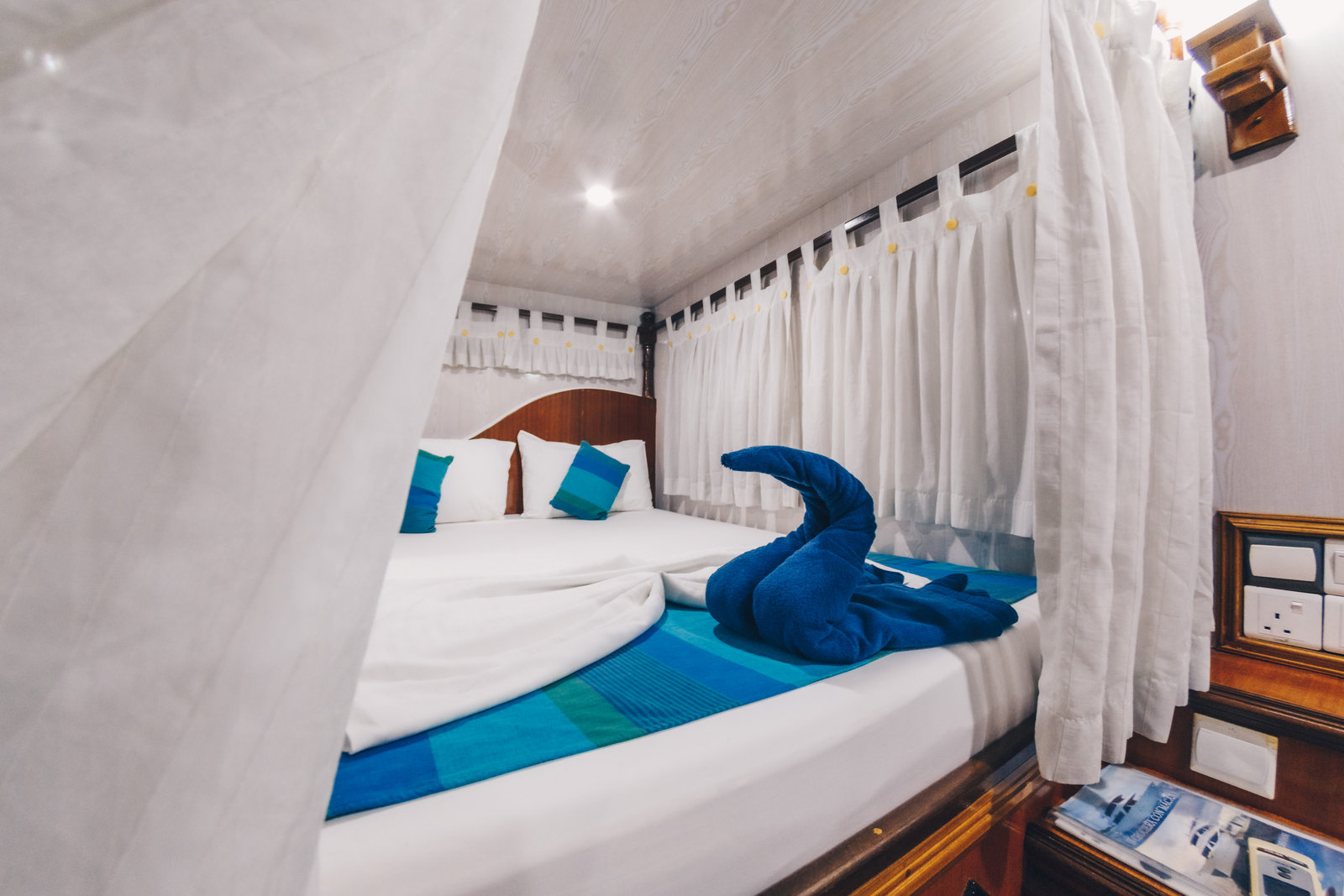 Ocean View Cabin, photo 1