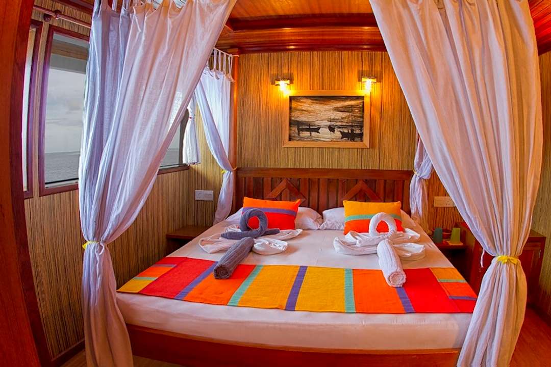 Double Cabin
