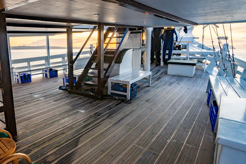 Dive deck - Pindito