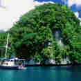 Ocean Hunter 1