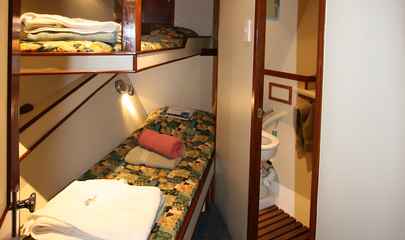 Cabin 1
