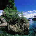 Ocean Hunter 1