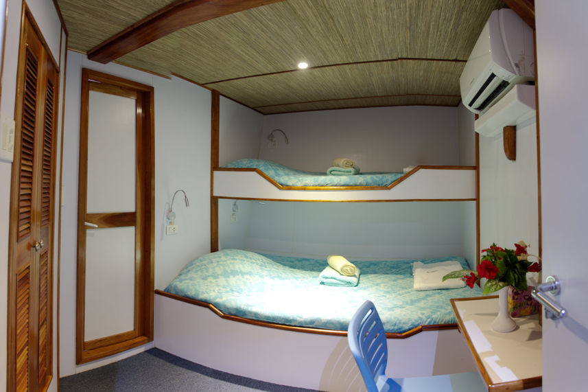 Deluxe Cabin - Ocean Hunter 3