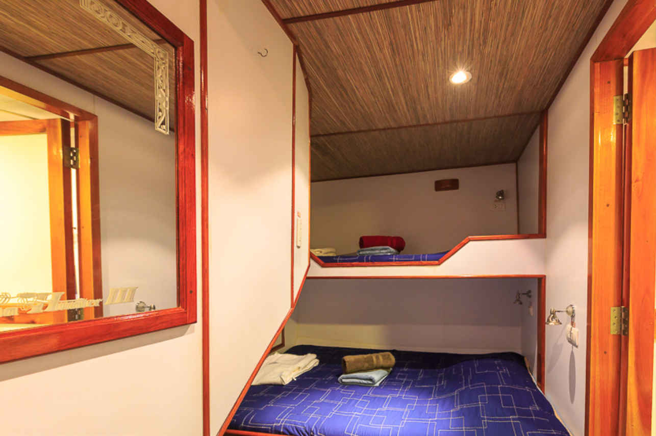 Cabina standard - Ocean Hunter 3