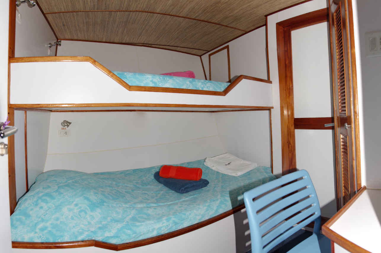 Cabina deluxe - Ocean Hunter 3