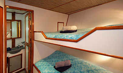 Standard Cabins