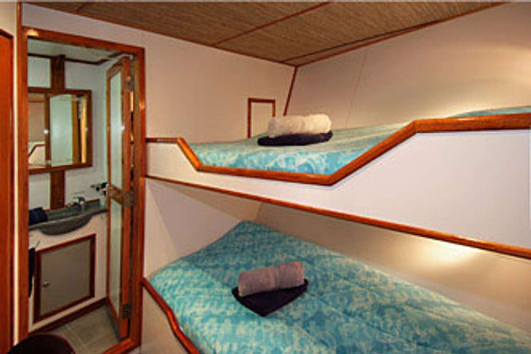 Standard Cabin - Ocean Hunter 3