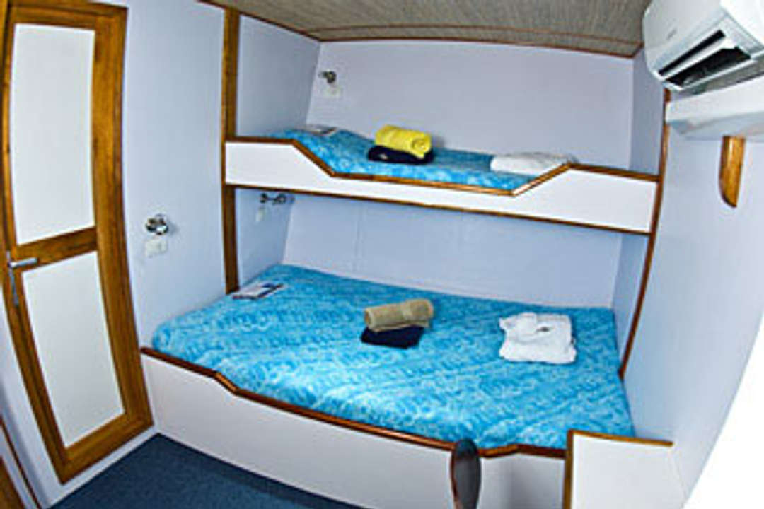 Deluxe Cabin - Ocean Hunter 3