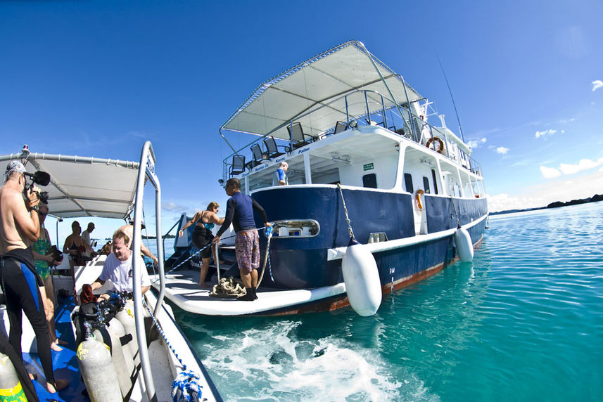 #divetender - Ocean Hunter 3