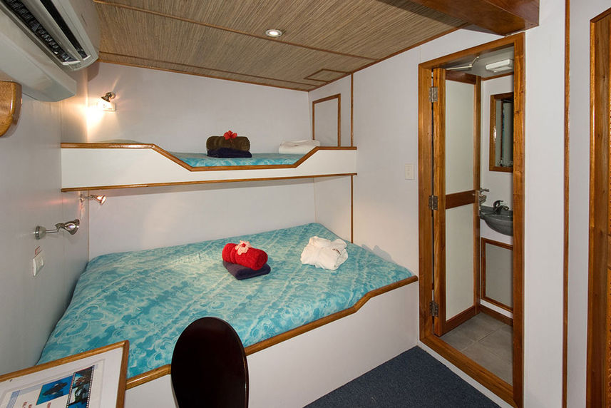 Deluxe Cabin - Ocean Hunter 3