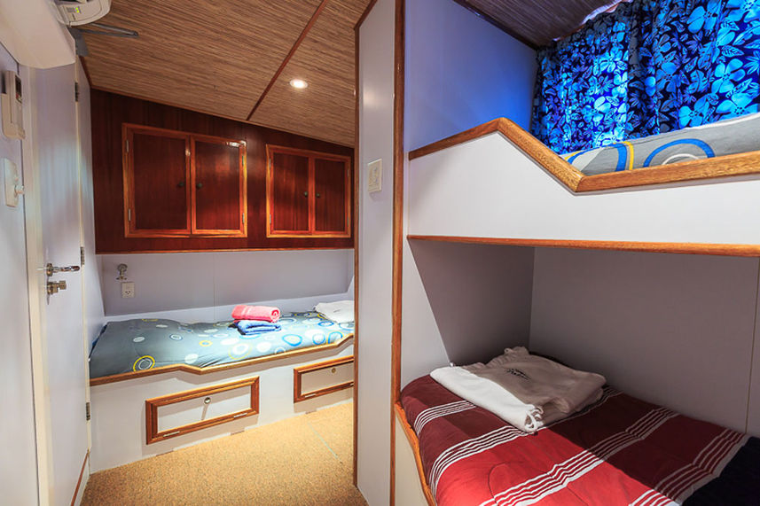 Cabina estandar  - Ocean Hunter 3