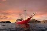 Seven Seas