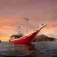 Seven Seas 