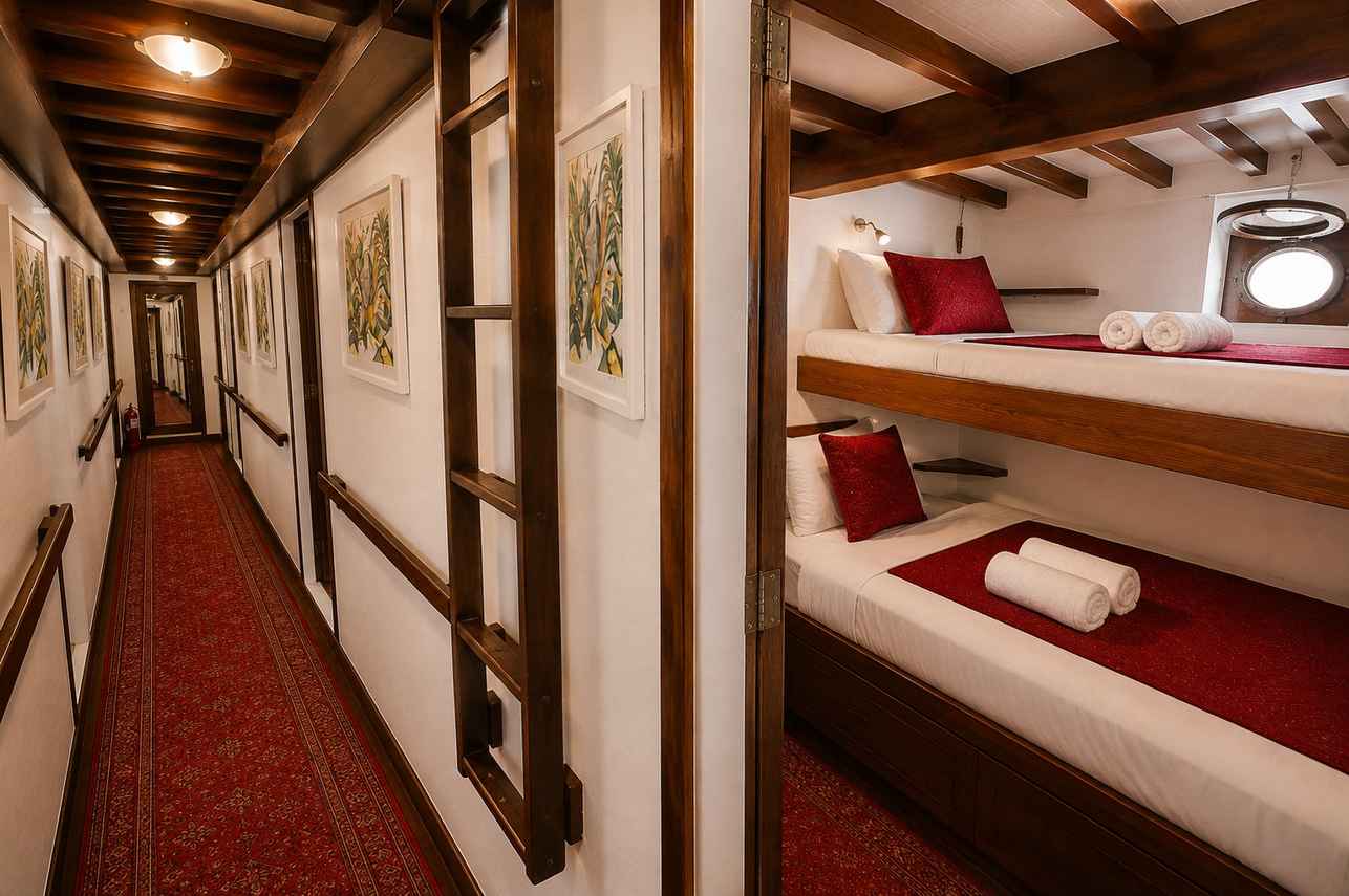 Cabin 1