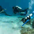 Diving