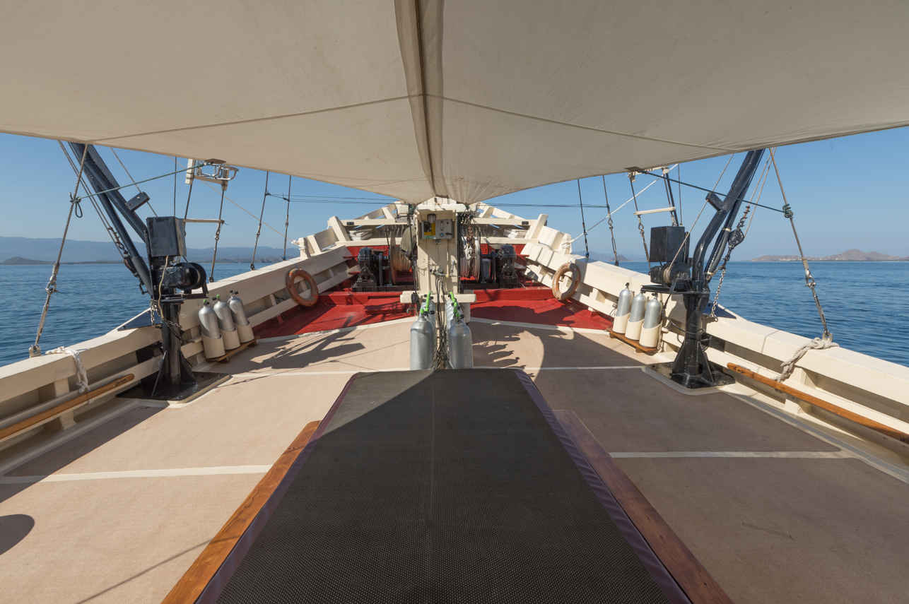 Dive deck - Seven Seas