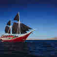 Seven Seas