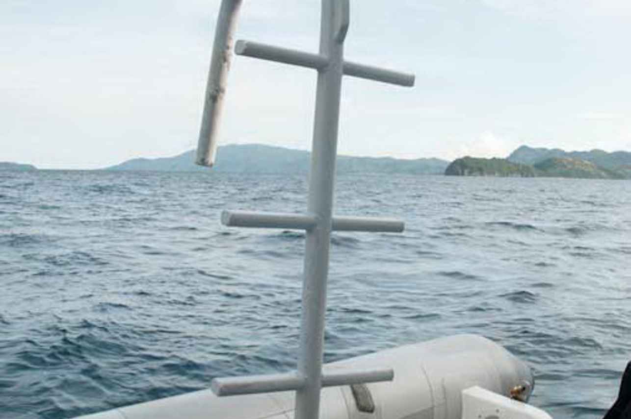 Dive Skiff Ladder