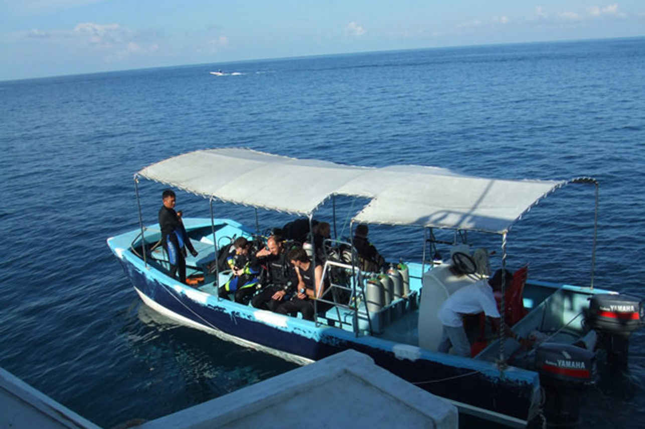 Celebes Explorer