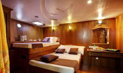 Lower Deck Double Cabins (# 1, 2, 7 & 8)