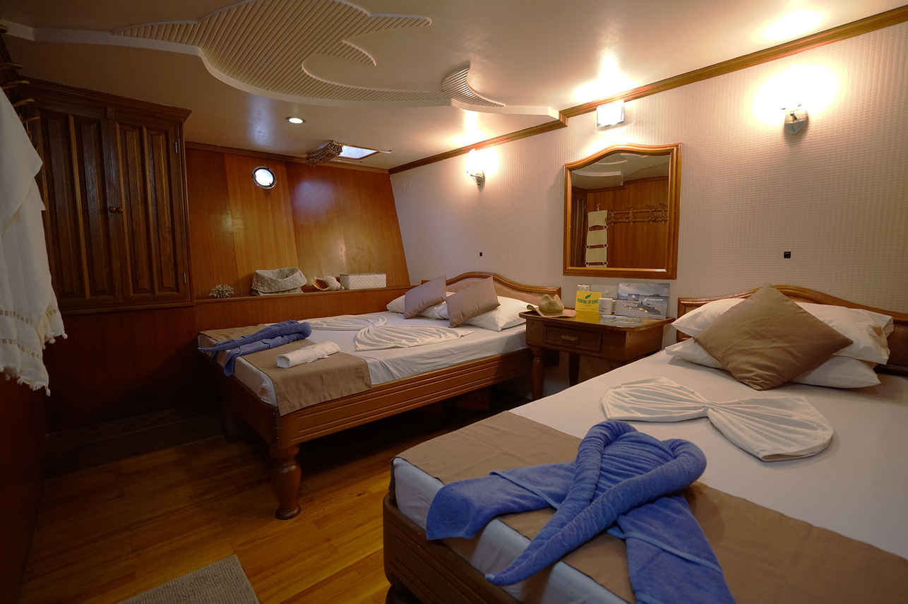 Cabine double - Conte Max