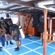 Dive deck - Pearl of Papua