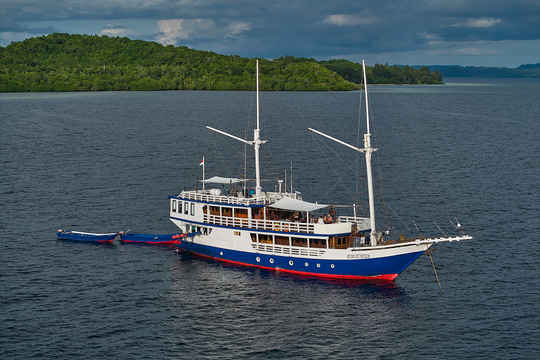 Pearl of Papua