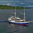 Pearl of Papua