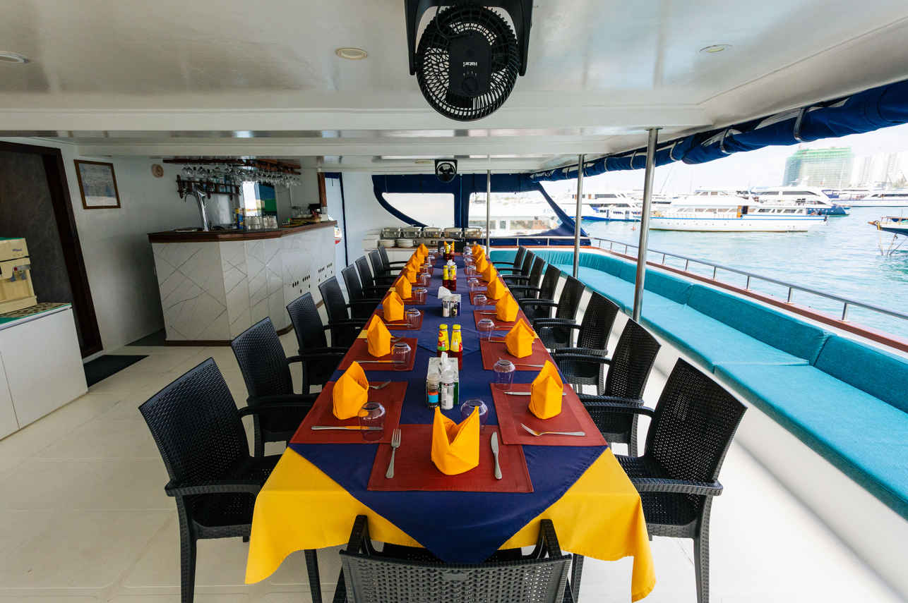 Comedor al Aire Libre - Carpe Diem